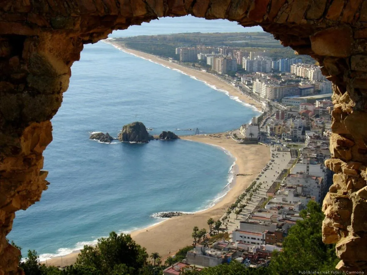 Bravaholidays-282-Palmeras-2 Blanes 0*,  Spain